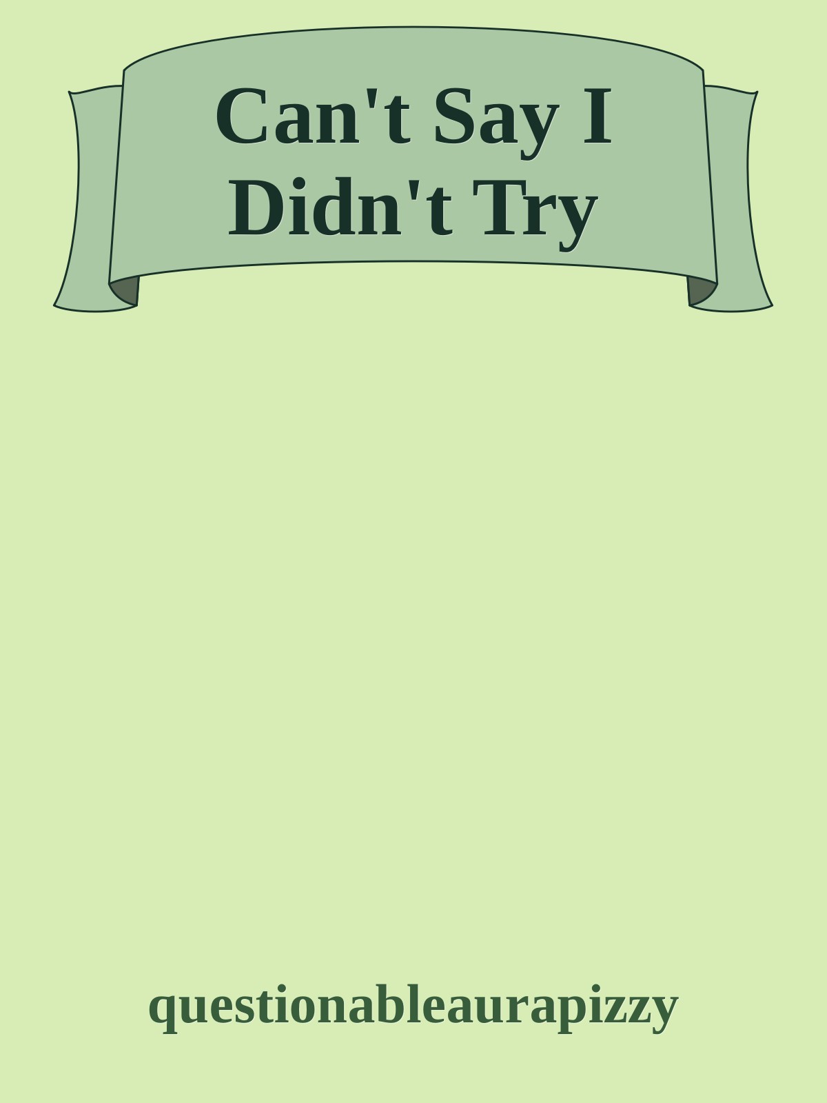 Can't Say I Didn't Try